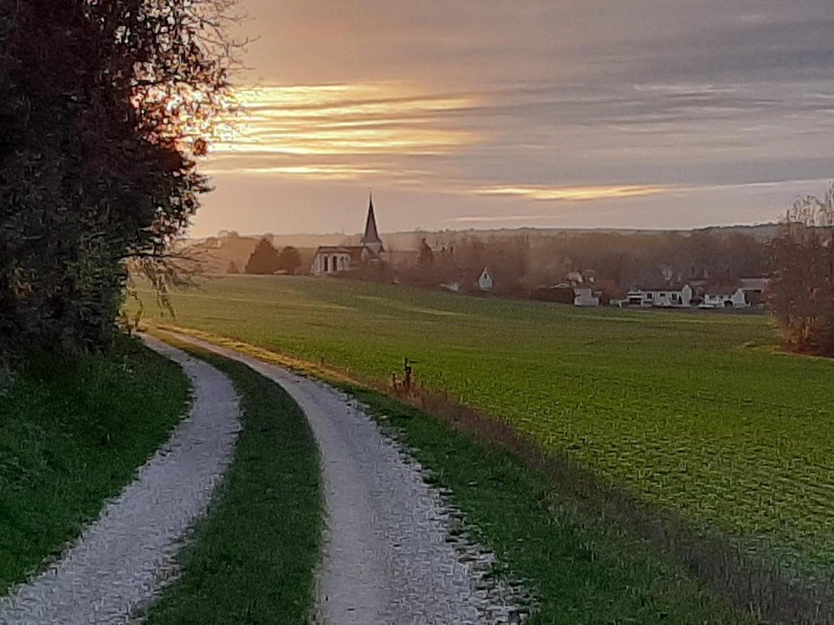 Chatrou Chatelraould-Saint-Louvent Экстерьер фото